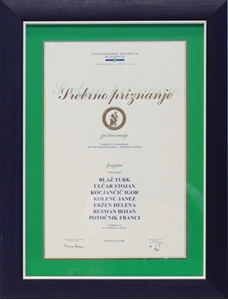 Picture of Silberne Auszeichnung der Slowenischen Handelskammer für die beste Innovation aus der slowenischen Region Gorenjska 2006